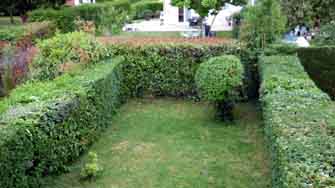 jardin