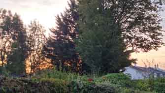 sunrise